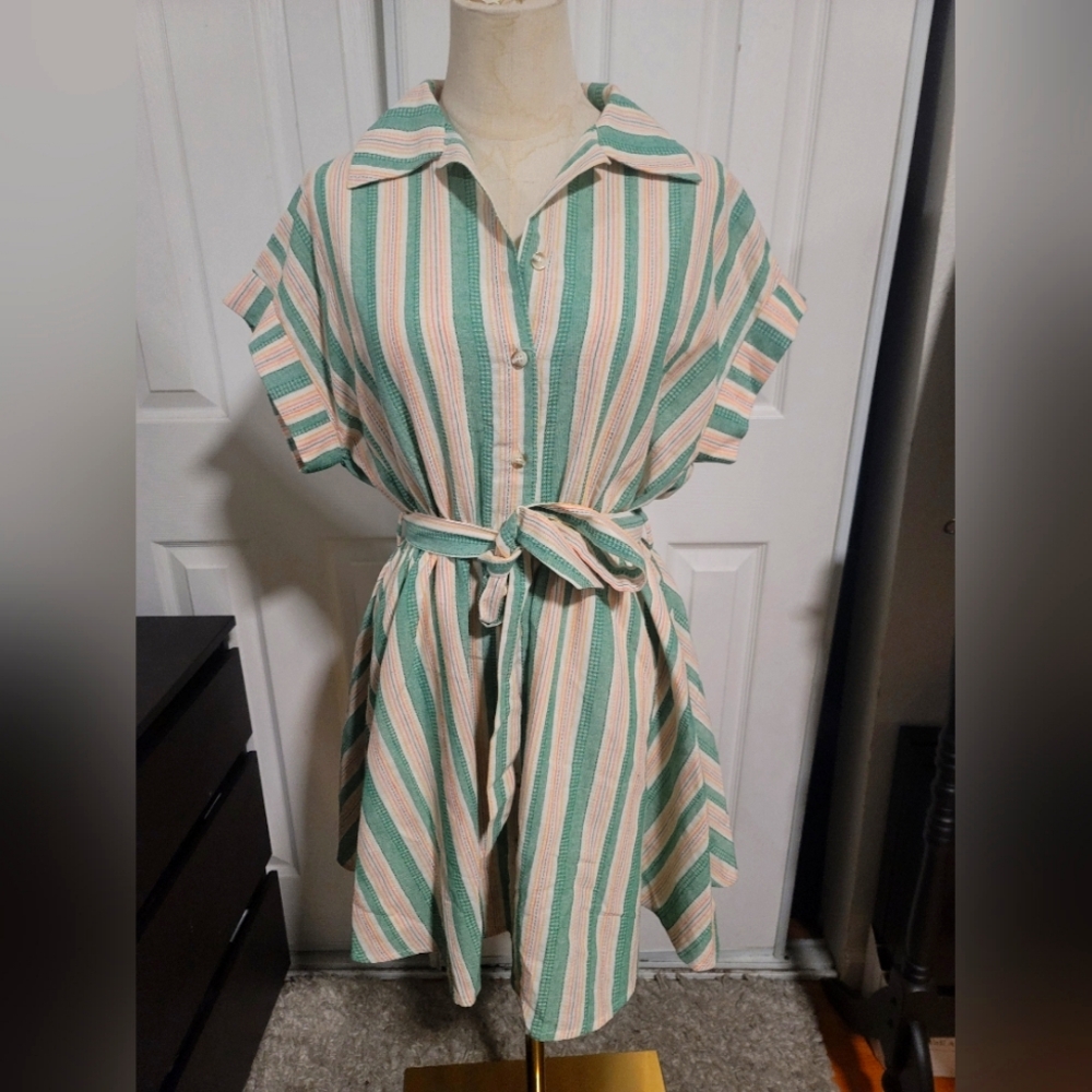 Striped Green and Pink Button-Up Dress